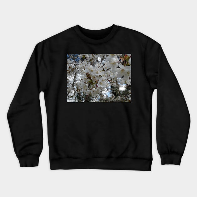 White flowers: Spring time - Flowers, sunshine, happiness and action Crewneck Sweatshirt by fantastic-designs